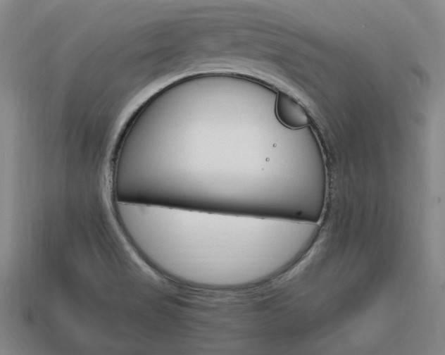 X0000113851517200909240954
