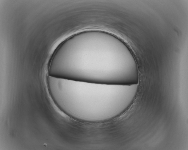 X0000113851519200909240954
