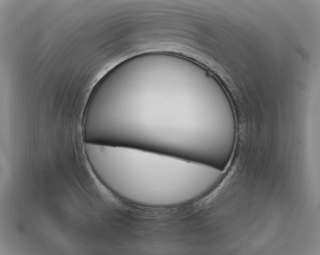 X0000113851521200909240954