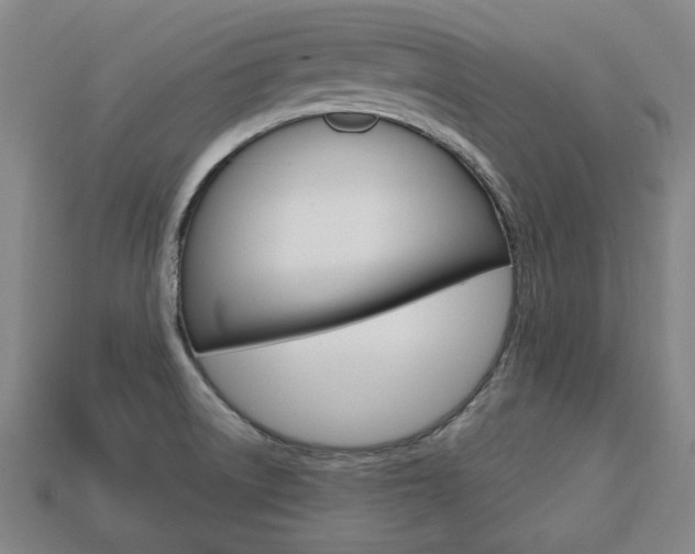 X0000113851522200909240954