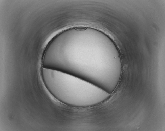 X0000113851523200909240954