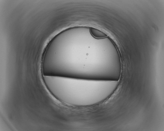 X0000113851525200909240954