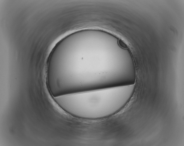 X0000113851526200909240954