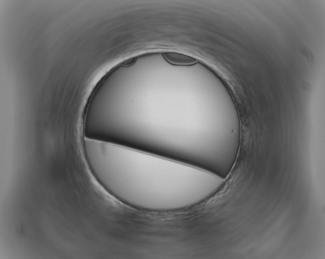 X0000113851527200909240954