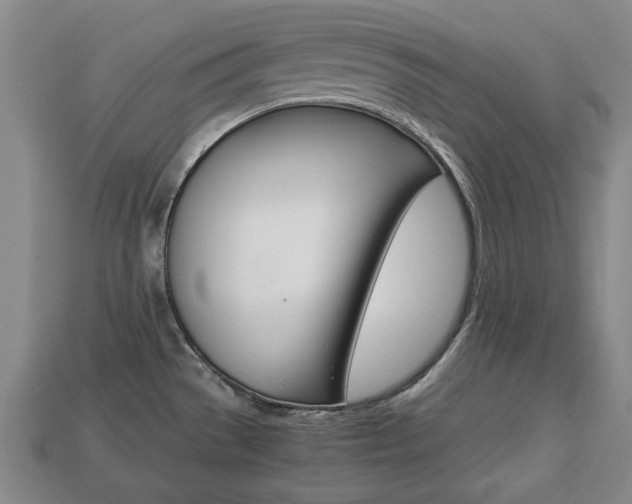 X0000113851529200909240954