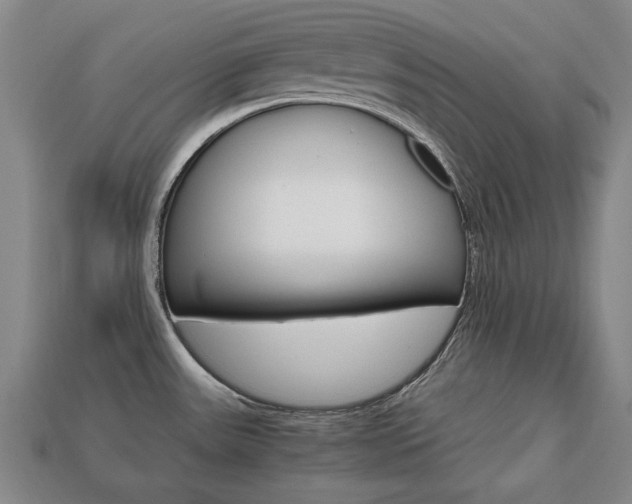 X0000113851531200909240954