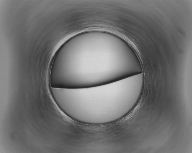 X0000113851533200909240954
