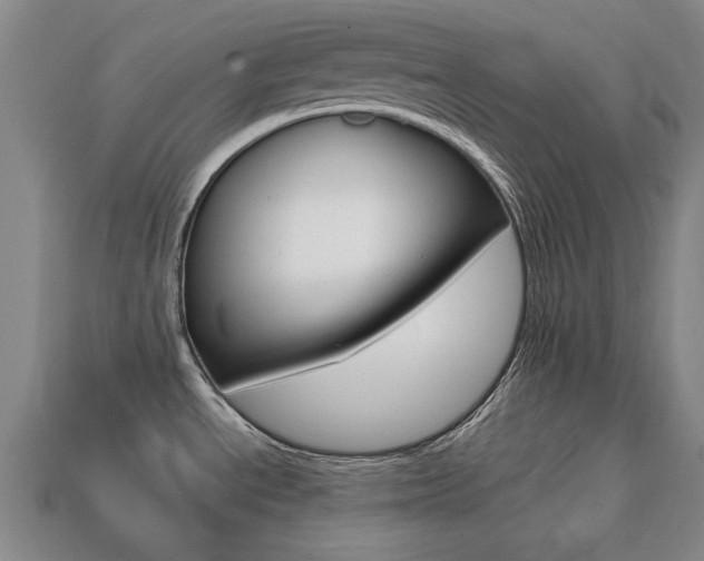 X0000113851534200909240954