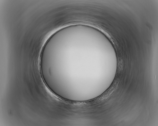 X0000113851535200909240954