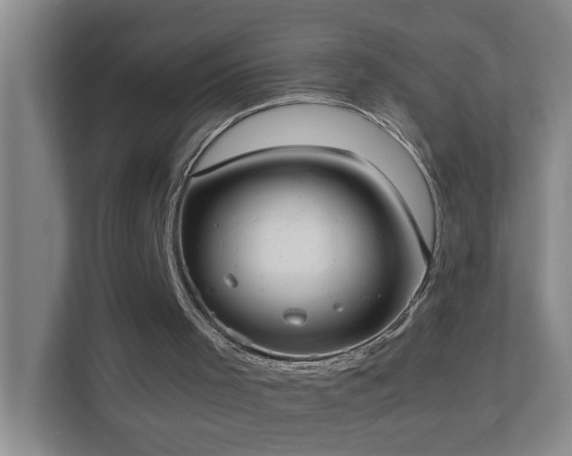 X0000113850001200909241257