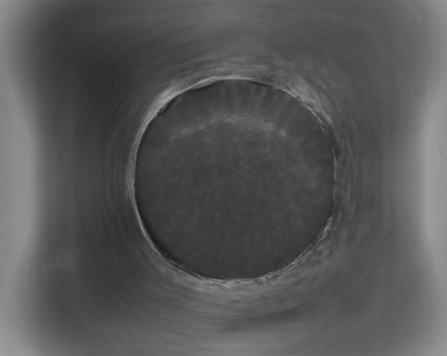 X0000113850003200909241257