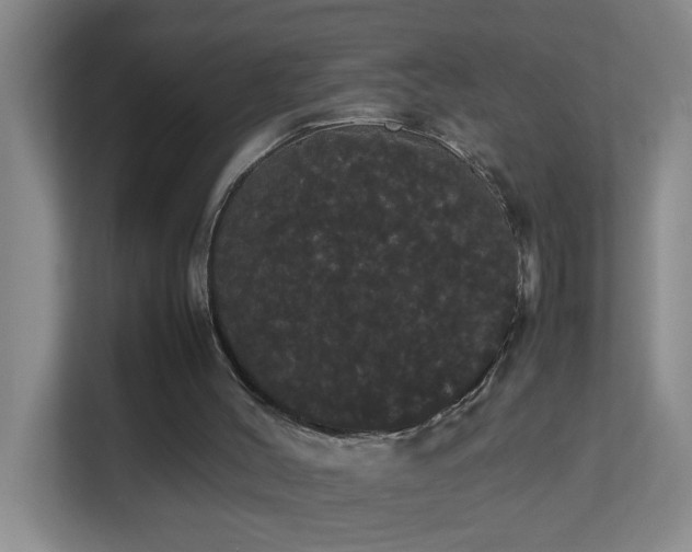 X0000113850004200909241257