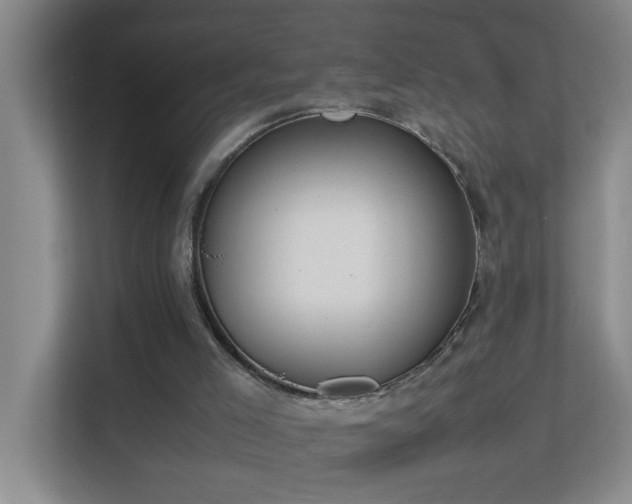 X0000113850005200909241257