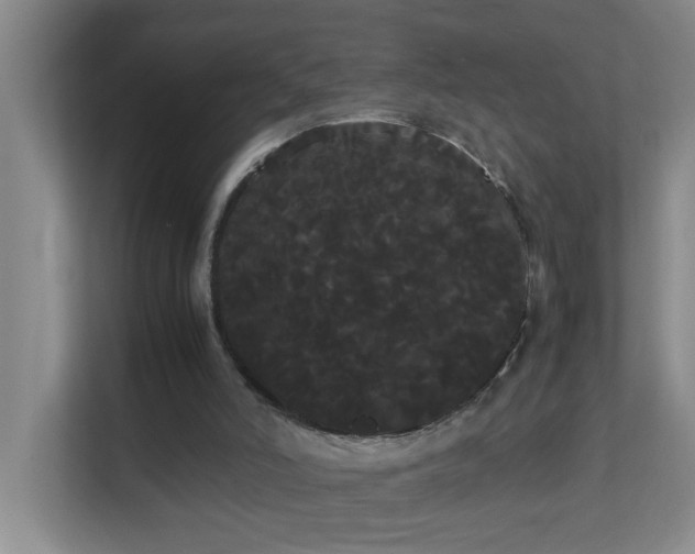 X0000113850006200909241257