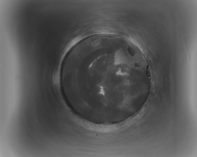 X0000113850008200909241257