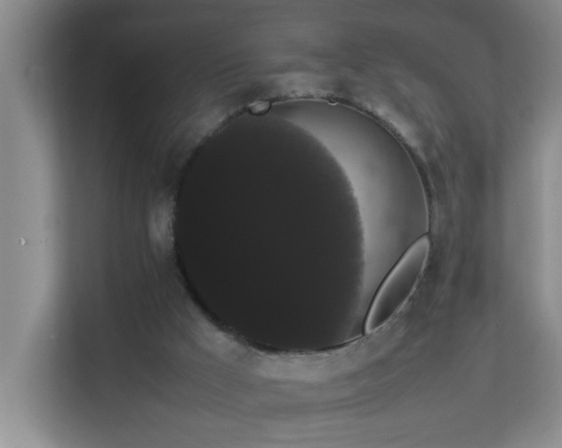 X0000113850009200909241257