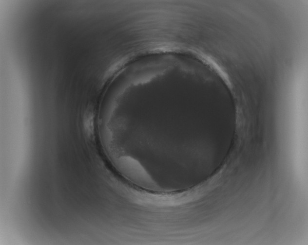 X0000113850010200909241257