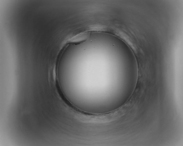 X0000113850011200909241257