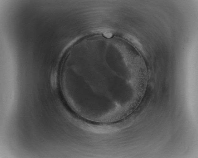 X0000113850012200909241257