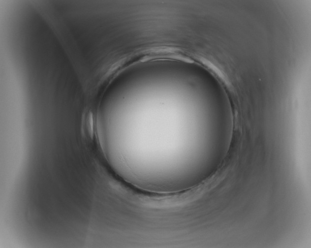 X0000113850013200909241257