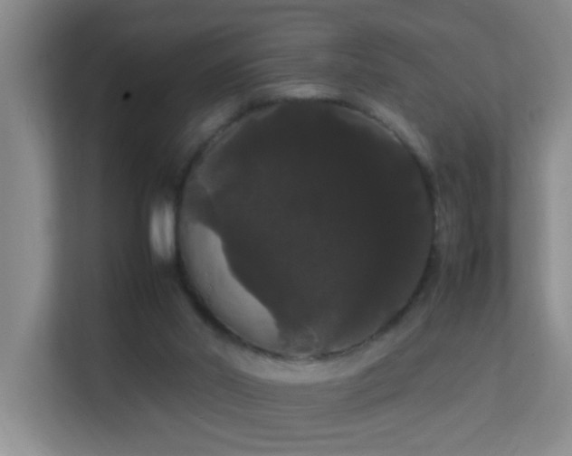 X0000113850014200909241257