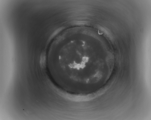 X0000113850016200909241257