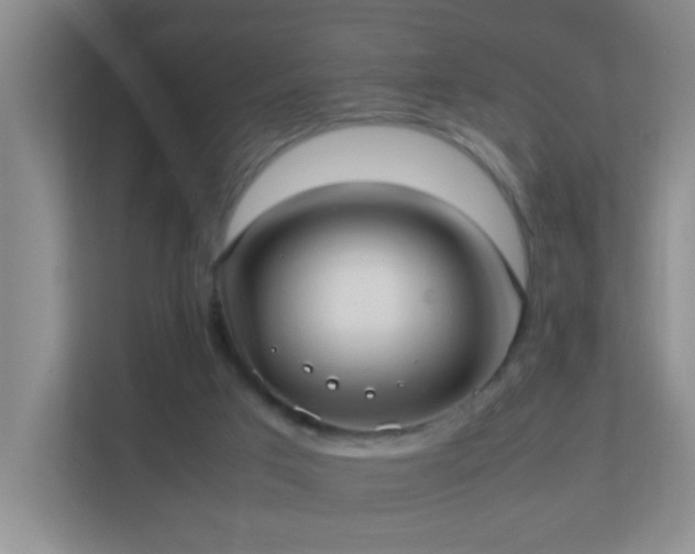 X0000113850017200909241257