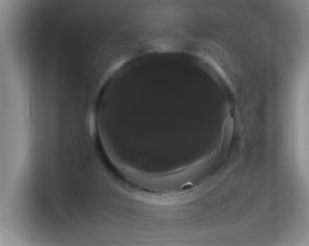 X0000113850019200909241257