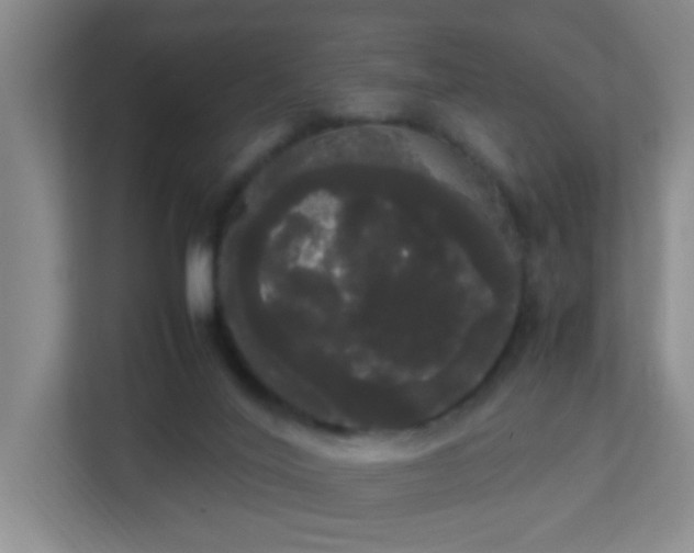 X0000113850020200909241257