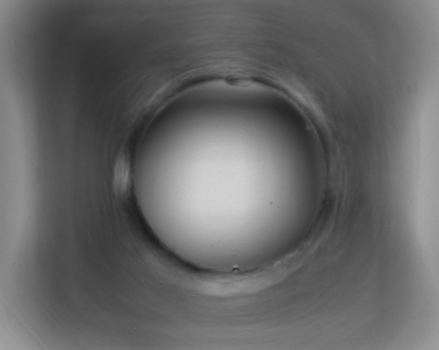 X0000113850021200909241257