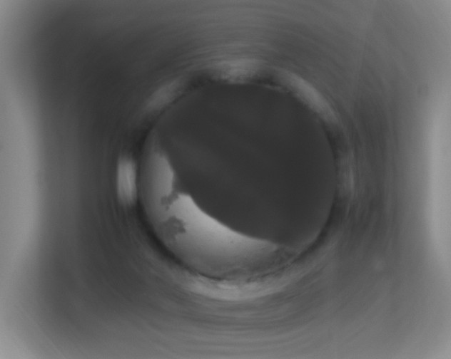 X0000113850022200909241257