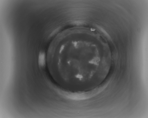 X0000113850024200909241257