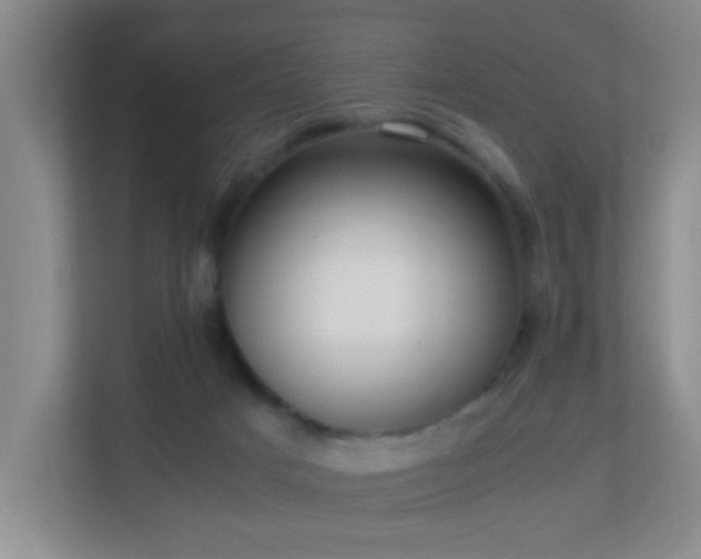 X0000113850025200909241256