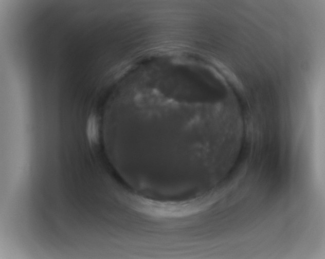 X0000113850026200909241256