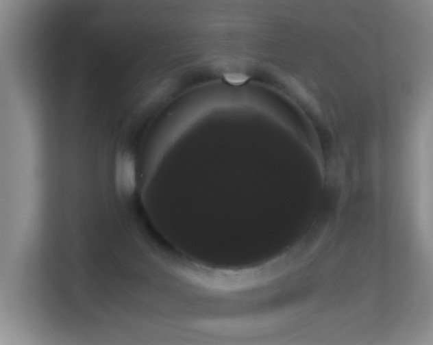 X0000113850027200909241256