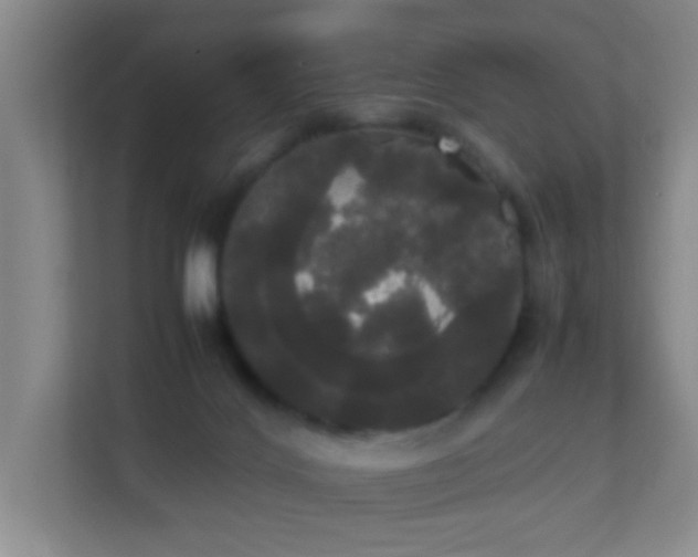 X0000113850028200909241256