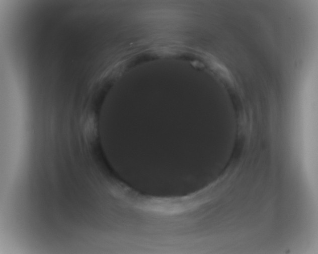 X0000113850029200909241256