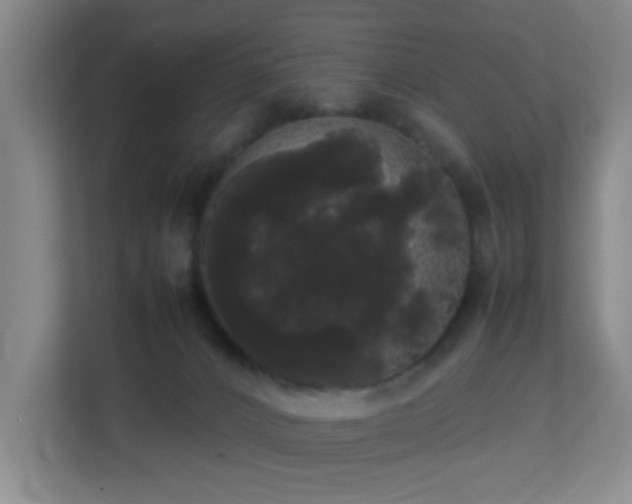 X0000113850032200909241256