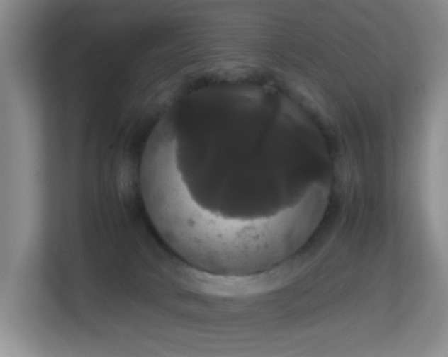 X0000113850034200909241256