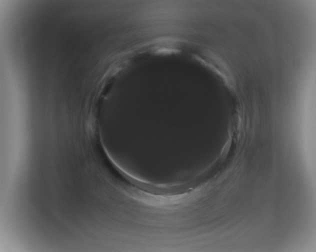 X0000113850035200909241256