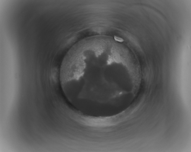 X0000113850036200909241256