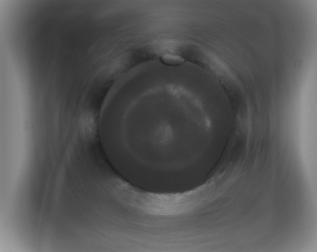 X0000113850037200909241256