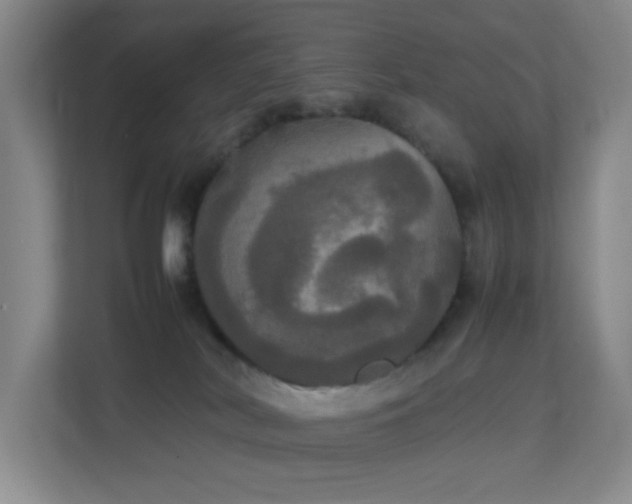 X0000113850038200909241256