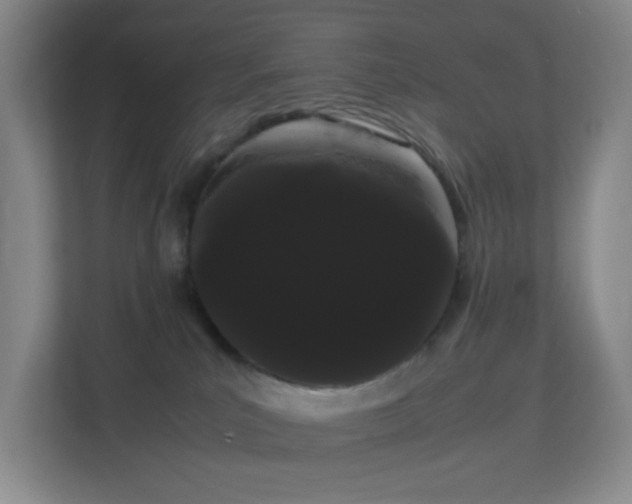 X0000113850039200909241256