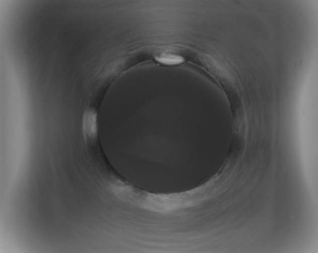 X0000113850041200909241256