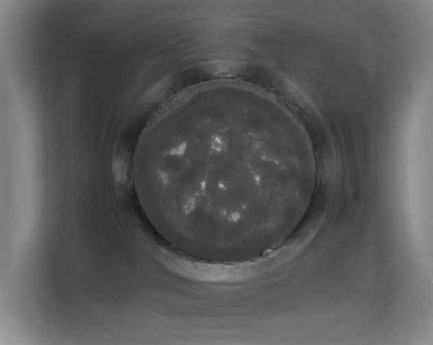 X0000113850044200909241256