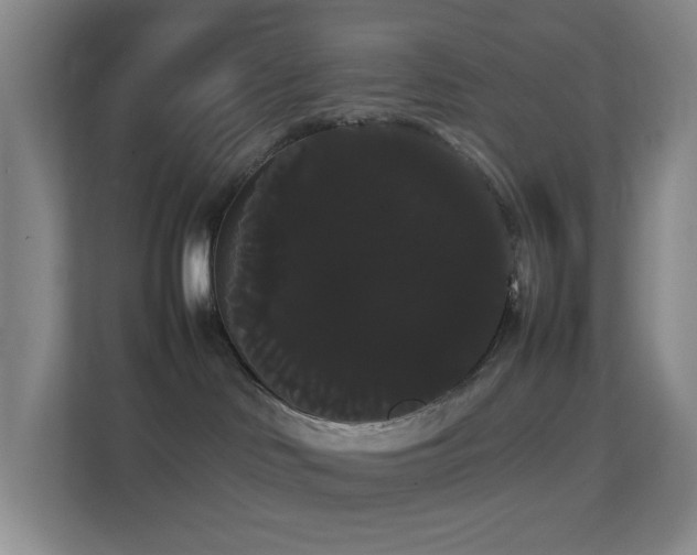 X0000113850046200909241256