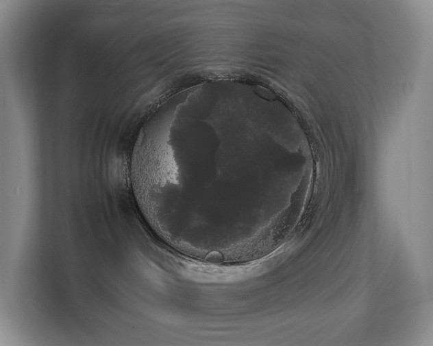 X0000113850048200909241256