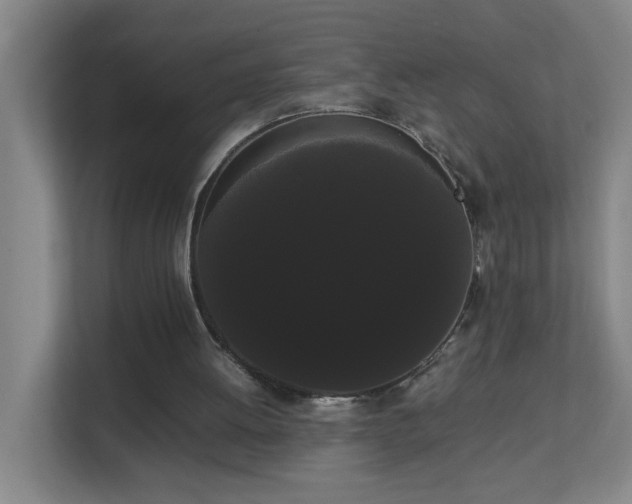 X0000113850052200909241256