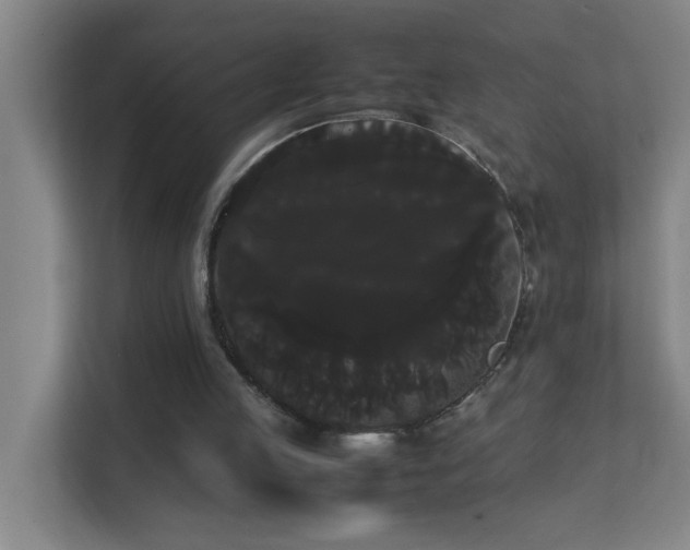 X0000113850053200909241256